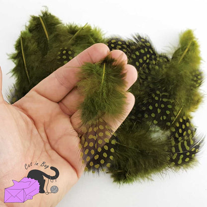 50 piume naturali color verde oliva