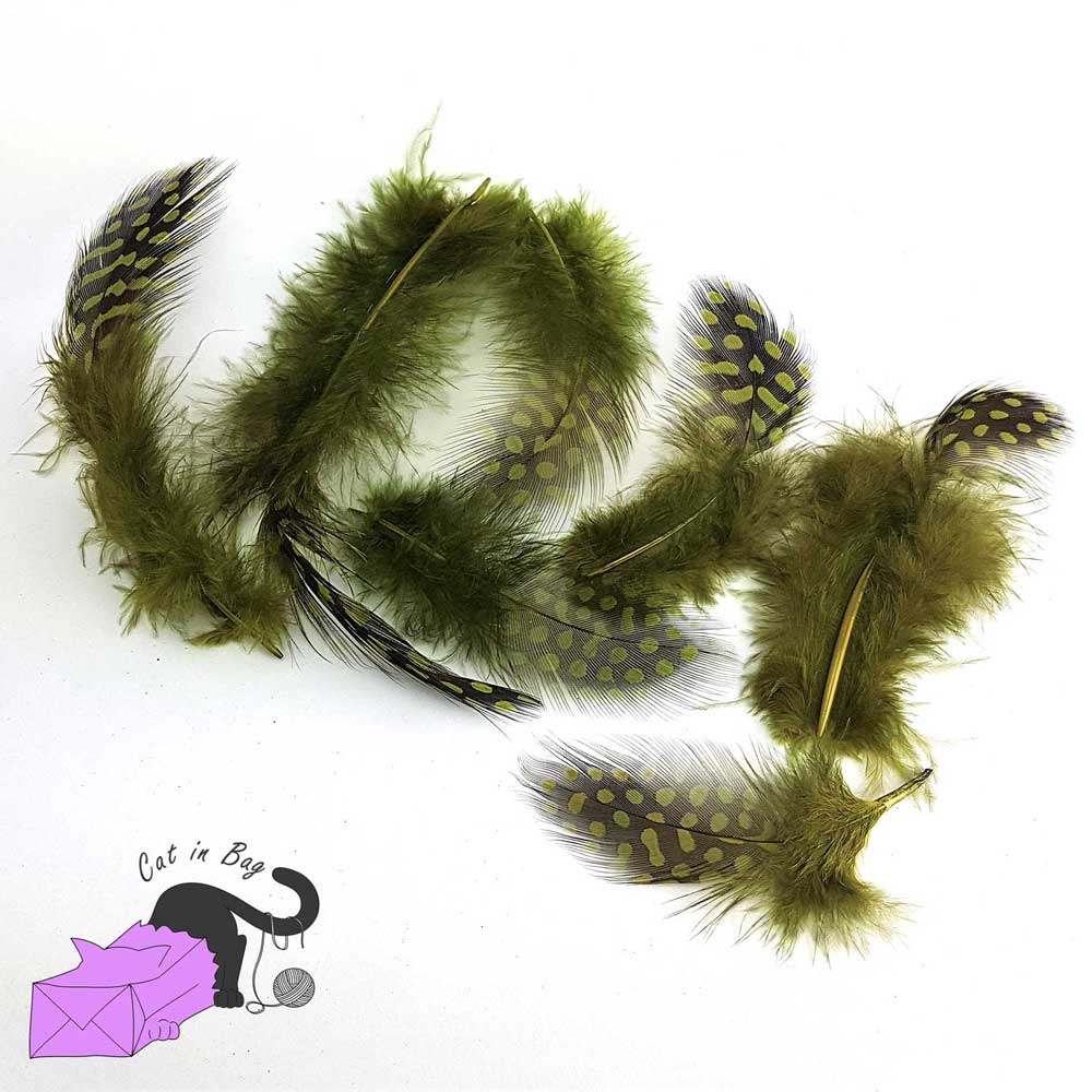 50 piume naturali color verde oliva