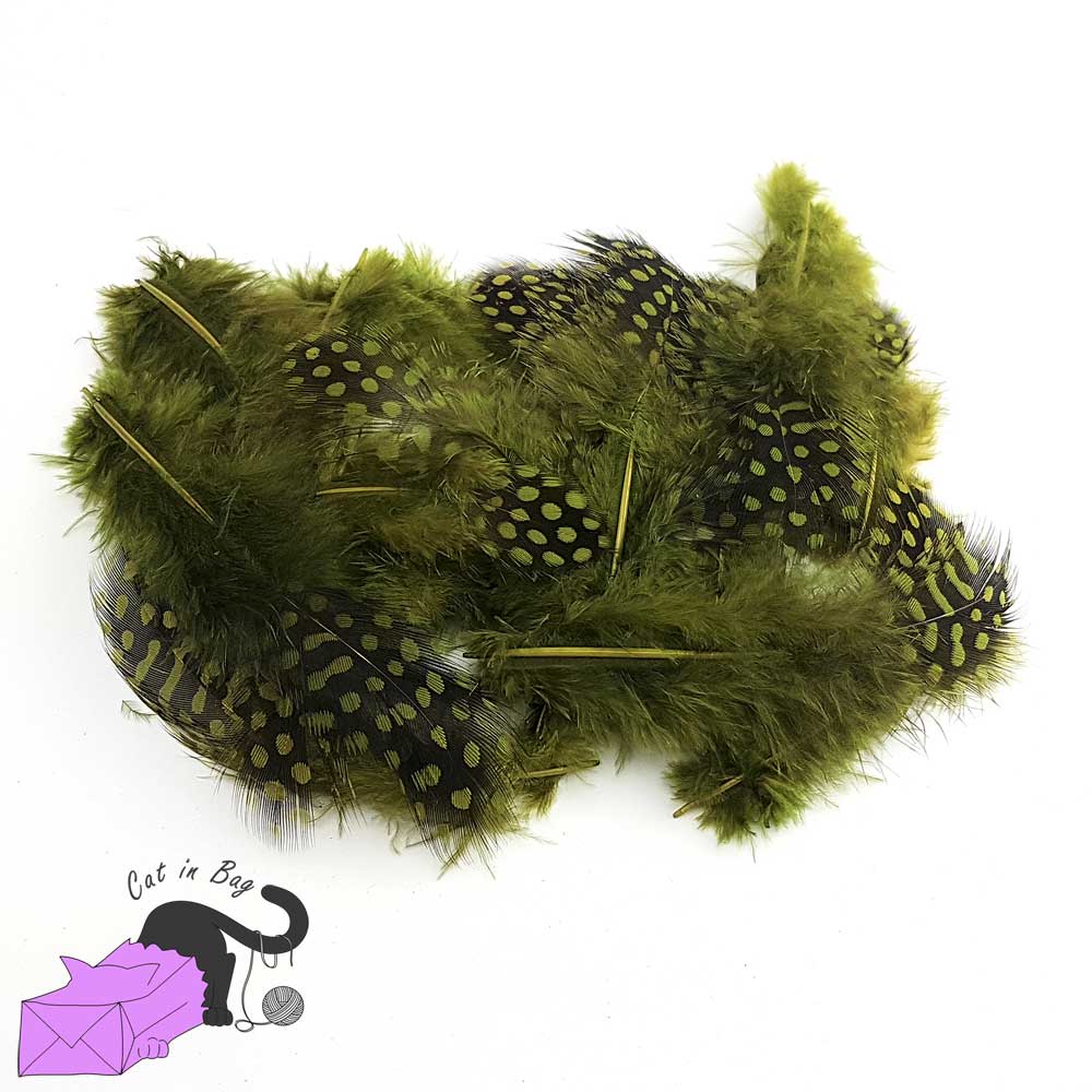 50 piume naturali color verde oliva
